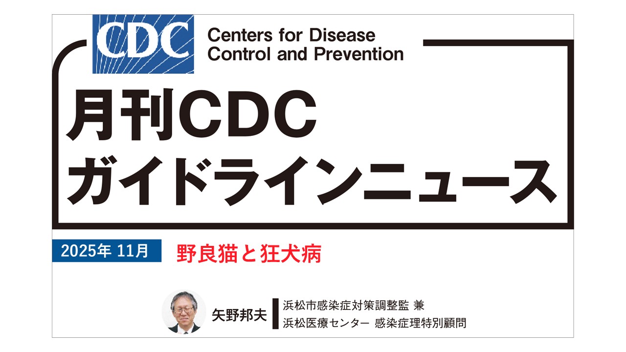 【連載】CDCガイドラインニュース「野良猫と狂犬病」