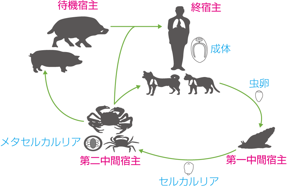 図2